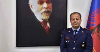 Sokol Bizhga