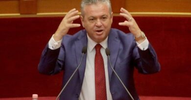 Zgjedhja e kreut të ri/ Ish deputeti i PD, Murrizi: Po talleni me demokratët duke futur kandidatura fallco në garë, është fyerje dhe turp