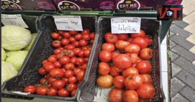 Domatja, mall luksi/ Në Dubai kushtojnë më pak se në Tiranë