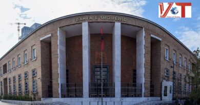 Më pak kredi për shtëpi, Banka e Shqipërisë: Ndikoi rivlerësimi, kreditimi u rrit më shumë në sektorin e bizneseve