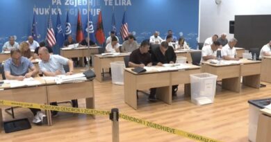 Nis numërimi i votave, kush do jenë 200 anëtarët e rinj të Këshillit Kombëtar të Partisë Demokratike
