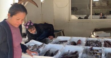 Biznesi merr punëtorë të huaj, por 68 mijë vendas të papunë! Filipinet, India, Egjipti ‘furnizojnë’ Shqipërinë me punonjës