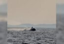 Sarandë/ Shkeli perimetrin e sigurisë, 530 mijë lekë gjobë për shkelësin dhe bllokim i mjetit lundrues