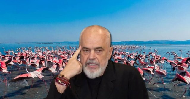 Protestuesit e shpallën fitore rezolutën e PE, reagon Rama: Mos dëgjoni korbat, llapaqorrat dhe VIP-at e fryrë me botokse… Protestuesit e shpallën fitore rezolutën e PE, reagon Rama: Mos dëgjoni korbat, llapaqorrat dhe VIP-at e fryrë me botokse…