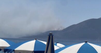 Zjarr në Karaburun/ Përfshihet sipërfaqe e madhe pyjesh, tymi pushton vijën bregdetare