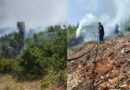 Zjarr i madh në Qafë Thanë, flakët përhapen me shpejtësi nga temperaturat e larta dhe era! Zjarr i madh në Qafë Thanë, flakët përhapen me shpejtësi nga temperaturat e larta dhe era!