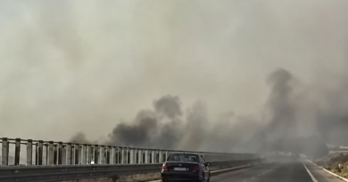 Zjarr përgjatë autostradës Fier–Vlorë, flakët përfshijnë rreth 2 kilometra! Tymi vështirëson qarkullimin Zjarr përgjatë autostradës Fier–Vlorë, flakët përfshijnë rreth 2 kilometra! Tymi vështirëson qarkullimin