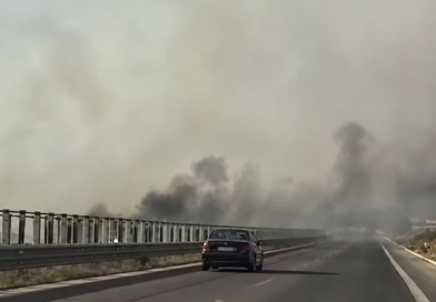 Zjarr përgjatë autostradës Fier–Vlorë, flakët përfshijnë rreth 2 kilometra! Tymi vështirëson qarkullimin Zjarr përgjatë autostradës Fier–Vlorë, flakët përfshijnë rreth 2 kilometra! Tymi vështirëson qarkullimin