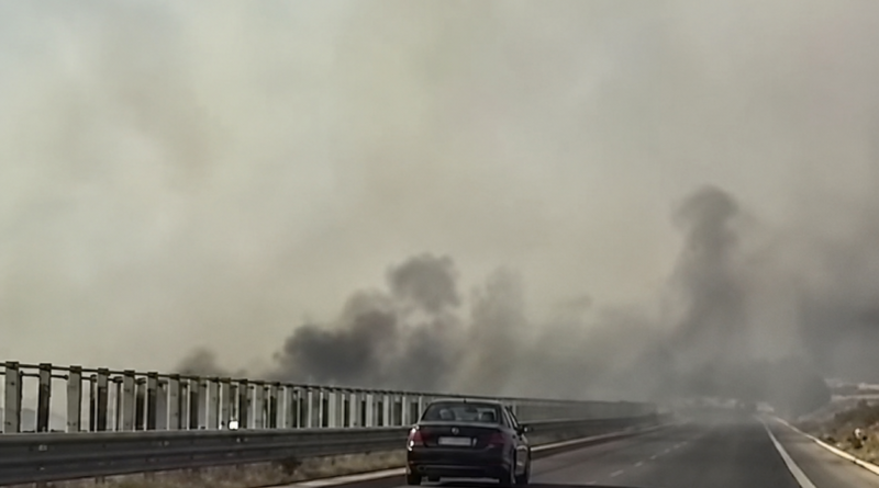 Zjarr përgjatë autostradës Fier–Vlorë, flakët përfshijnë rreth 2 kilometra! Tymi vështirëson qarkullimin Zjarr përgjatë autostradës Fier–Vlorë, flakët përfshijnë rreth 2 kilometra! Tymi vështirëson qarkullimin