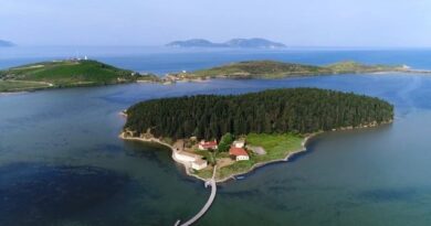 Protestat shtuan turistët në Vlorë: Sazani dhe Zvërneci tani po vizitohen më shumë, pasi u bënë të famshëm ndërkombëtarisht