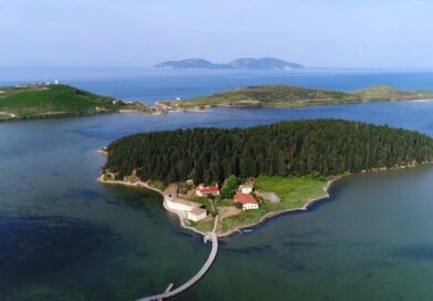 Protestat shtuan turistët në Vlorë: Sazani dhe Zvërneci tani po vizitohen më shumë, pasi u bënë të famshëm ndërkombëtarisht