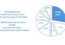 AMF publikon raportin 6-mujor: SIGAL dëmshpërbleu 13.8 milionë euro për mbi 10 mijë raste