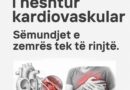Rreziku i heshtur kardiovaskular : Semundjet e zemrës tek të rinjtë.
