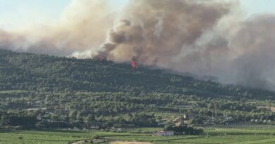 Spanja dhe Franca po digjen/ Zjarret detyrojnë mbi 250 mijë banorë të braktisin shtëpitë, boshatisen qytetet