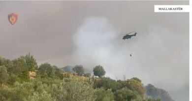 Zjarri në Mallakastër, flakët përhapen me shpejtësi, evakuohen 15 familje (VIDEO)