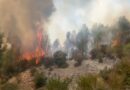 Piromanët i shpëtojnë drejtësisë/ Vetëm 18 fajtorë në 211 çështje, shumica e dosjeve mbyllen pa prova