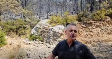 Pas “natës së ferrit” në Krujë, Rama publikon dëshmitë e banorëve: Mbrëmë këtu u ndje era e shtetit (VIDEO)