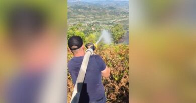 Neutralizohen flakët në Mallakastër, dogjën 10 hektarë me ullinj dhe pyll