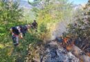 Prej 6 ditësh në flakë! Zjarri në Dardhë të Librazhdit del jashtë kontrollit, terreni dhe era pengojnë ndërhyrjen