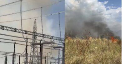 Zjarr i përmasave të mëdha pranë një nënstacioni elektrik në Elbasan, digjet një parcelë me ullinj