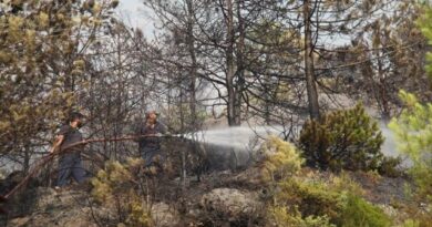 Merr fund tmerri: Zjarret në Mallakastër dhe Krujë drejt shuarjes