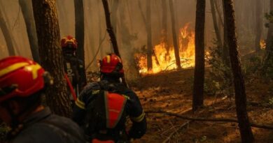 Si paraqitet aktualisht situata me zjarret në Shqipëri
