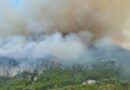 Riaktivizohen zjarret lagjen Abaze në Krujë, zjarrfikësi plagoset gjatë operacionit