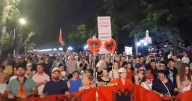 Diaspora i përgjigjet thirrjeve të protestuesve, merr pjesë në tubimin e 76-të. Vijojnë fjalimet përpara kryeministrisë