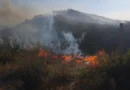 Zjarr në Finiq/ Digjet një sipërfaqe me pemë dhe shkurre, rrezikohen edhe banesat