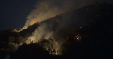 Zjarret në Shqipëri/ Katër vatra ende aktive në Dajt, Bulqizë, Mat dhe Skrapar, mbi 250 efektivë në terren