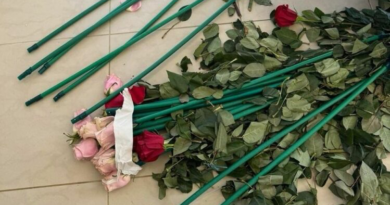 100 kilogramë kokainë nga Kolumbia të fshehura në trëndafila! Arrestohen 6 persona në Greqi, mes tyre edhe shqiptarë
