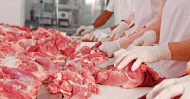 Ndalimi i mishit brazilian, çmimet mund të rriten deri në 40%: Filetoja e pulës mund të arrijë 450 lekë/kg me shumicë