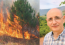 Prof. Pal Nikolli: Nga viti 1990 deri në 2 shtator 2026 në Shqipëri ka 553.000 hektarë sipërfaqe të djegur Prof. Pal Nikolli: Nga viti 1990 deri në 2 shtator 2026 në Shqipëri ka 553.000 hektarë sipërfaqe të djegur