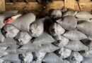 Lushnje, 900 ton luledielli mbeten stok në magazina, s’ka treg për shitje! Fermerët: Pa indrustri jemi të falimentuar