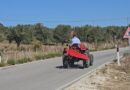 Bujqësia në dorë të moshuarve, Panajaja e vreshtave dhe ullinjve po humb traditën e saj