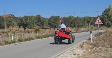 Bujqësia në dorë të moshuarve, Panajaja e vreshtave dhe ullinjve po humb traditën e saj