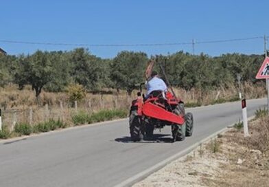 Bujqësia në dorë të moshuarve, Panajaja e vreshtave dhe ullinjve po humb traditën e saj