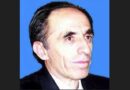Jeton Muҫollari: Partitë politike, shkolla e demokracisë apo pronë e kryetarëve